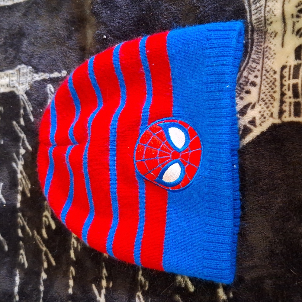 Spider Man Hoodie